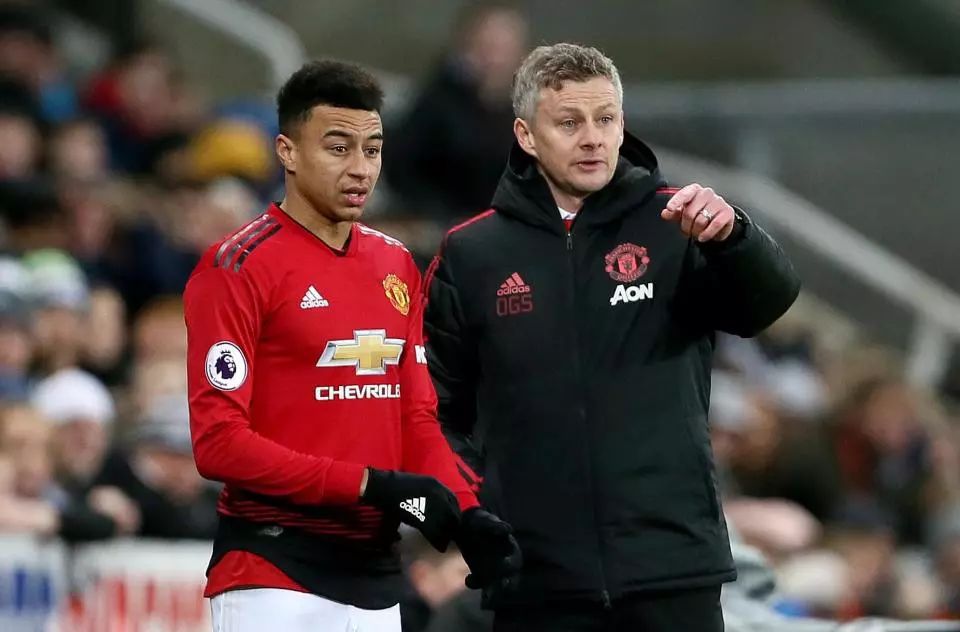 年轻加拿大 年轻加拿大