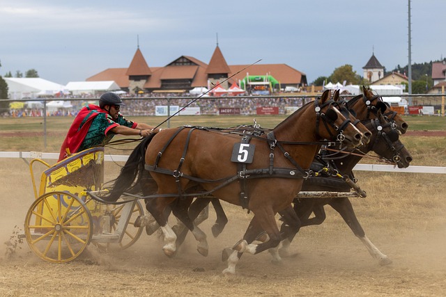 能力和对比 能力和对比