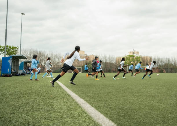 当谈到帕尔 当谈到帕尔